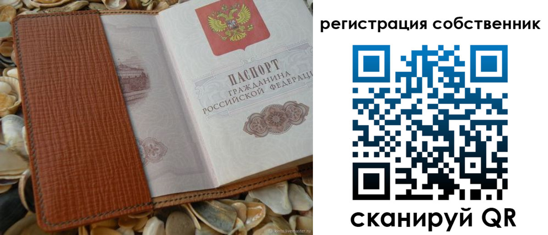 временная регистрация для школы в Александровске-Сахалинском